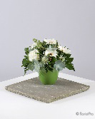 Pretty Pot
